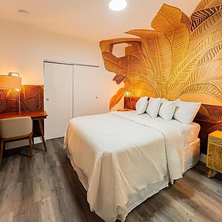 Wynwood Apartments And Studios 마이애미 외부 사진